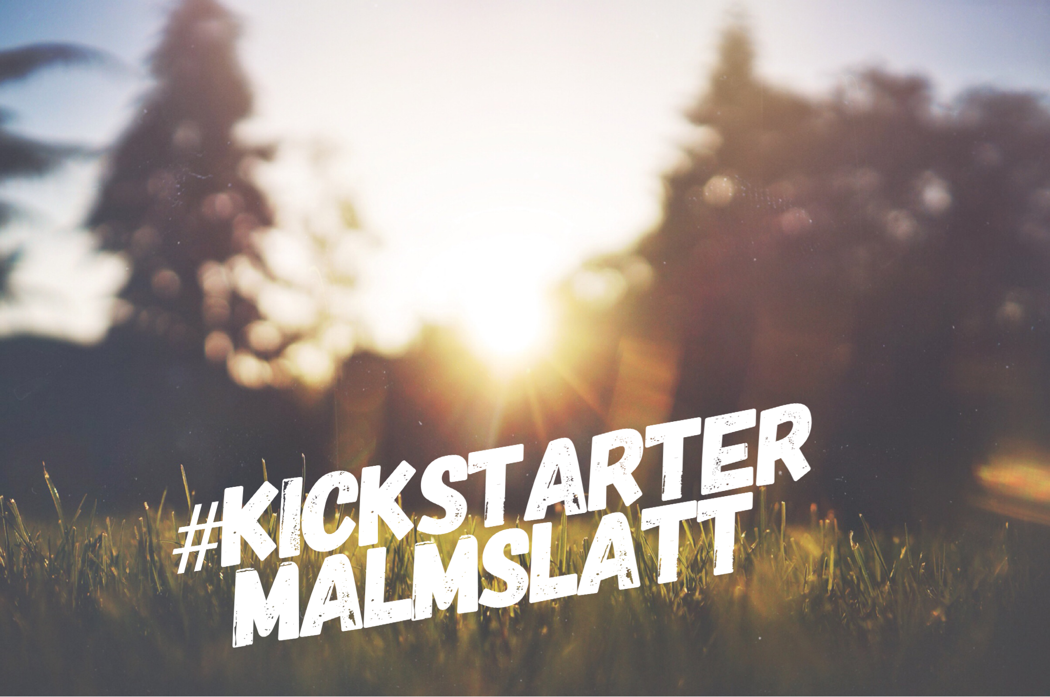 Kickstarter Malmslätt
