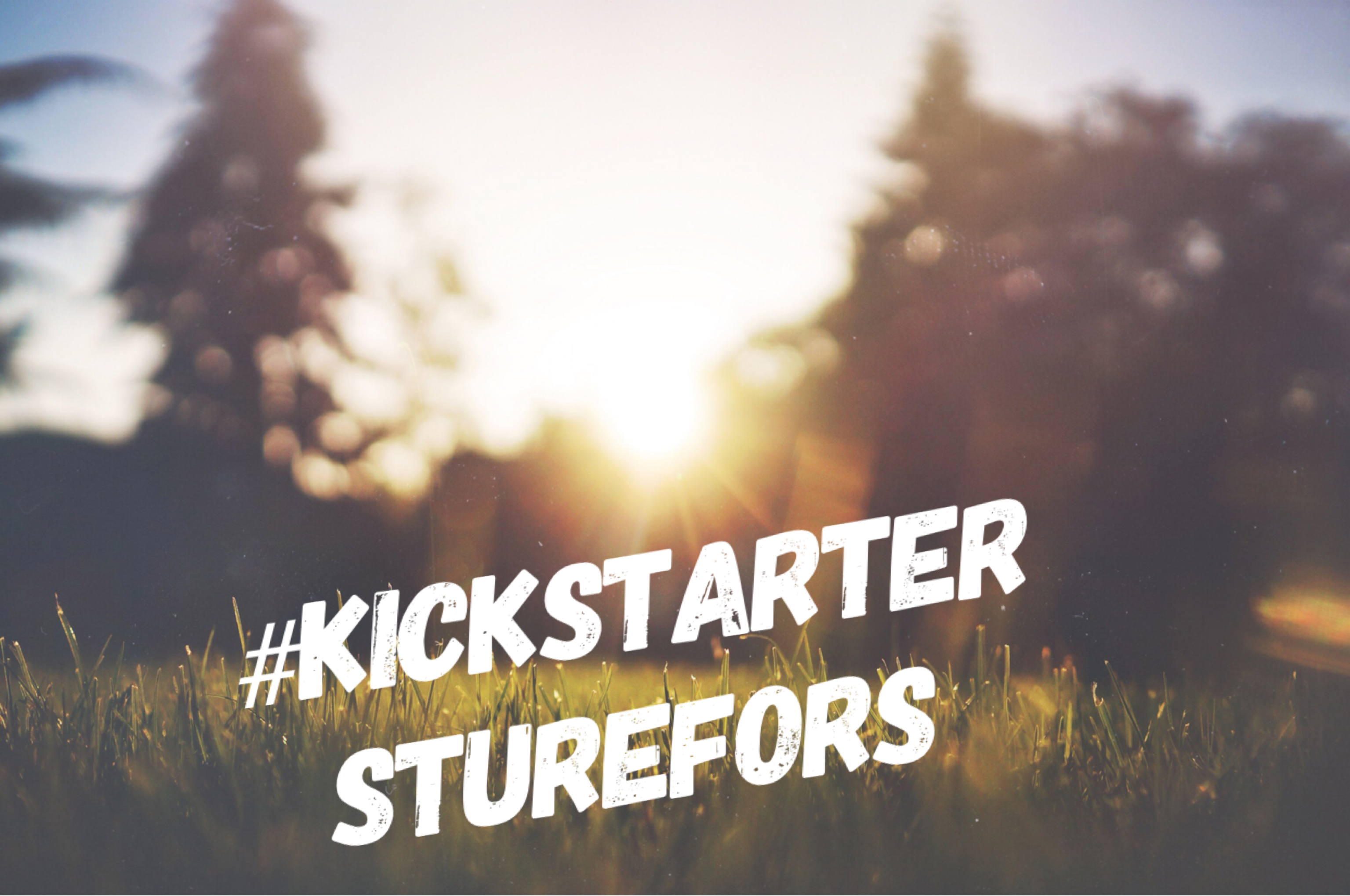Kickstarter Sturefors